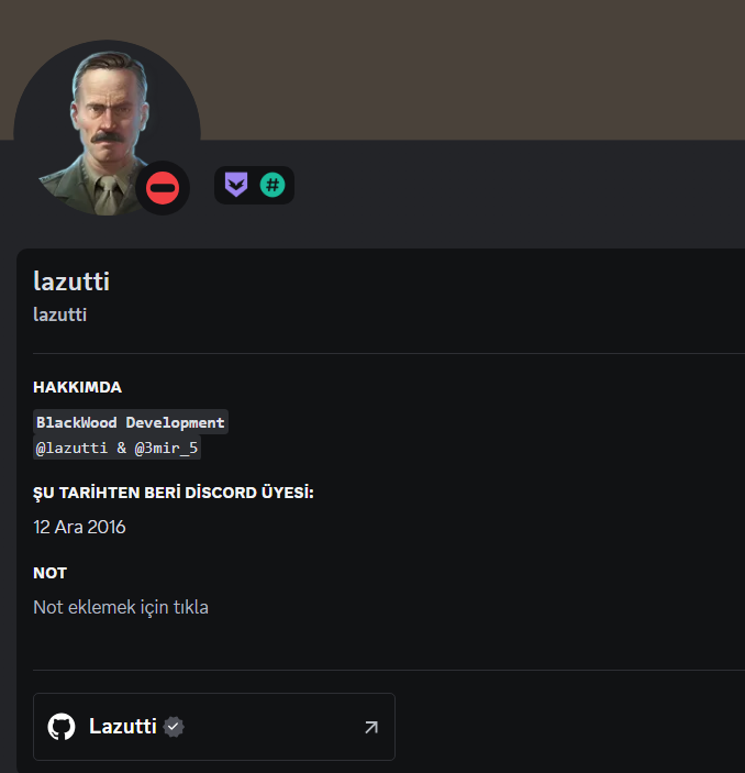 Discord Profili