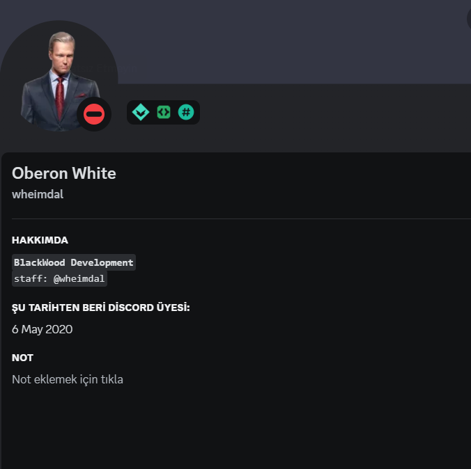 Discord Profili